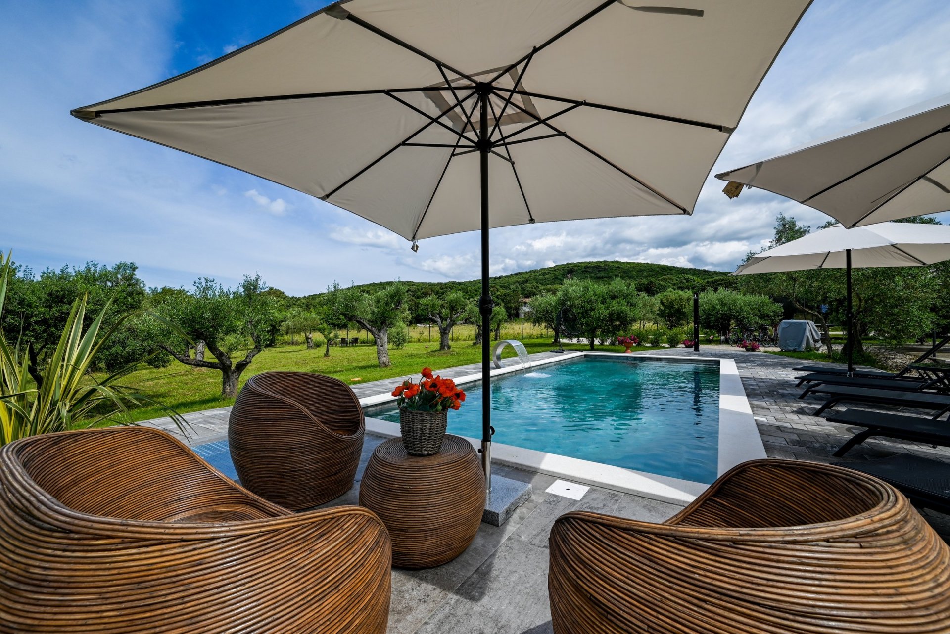 villa san bartolo in nature of Rovinj